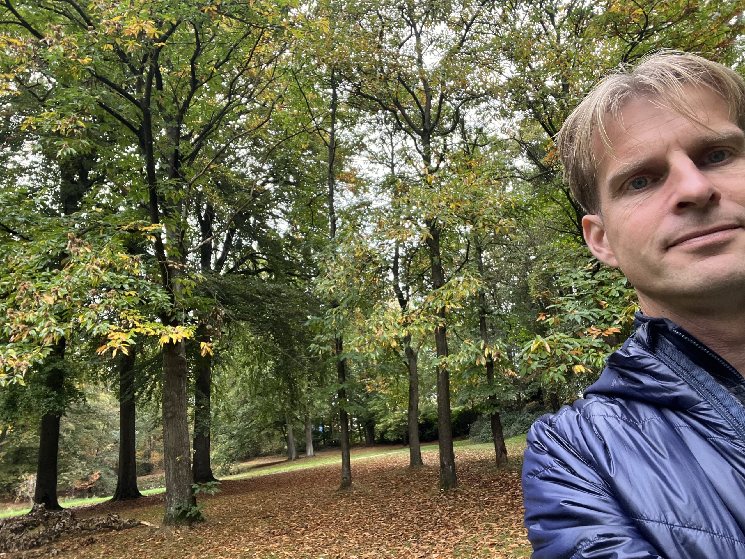 Bomen houden hun blaadjes niet vast. Jij? De natuur laat het zien: in de herfst laat een boom los wat niet meer voedt. Geen drama, geen haast — wél richting.